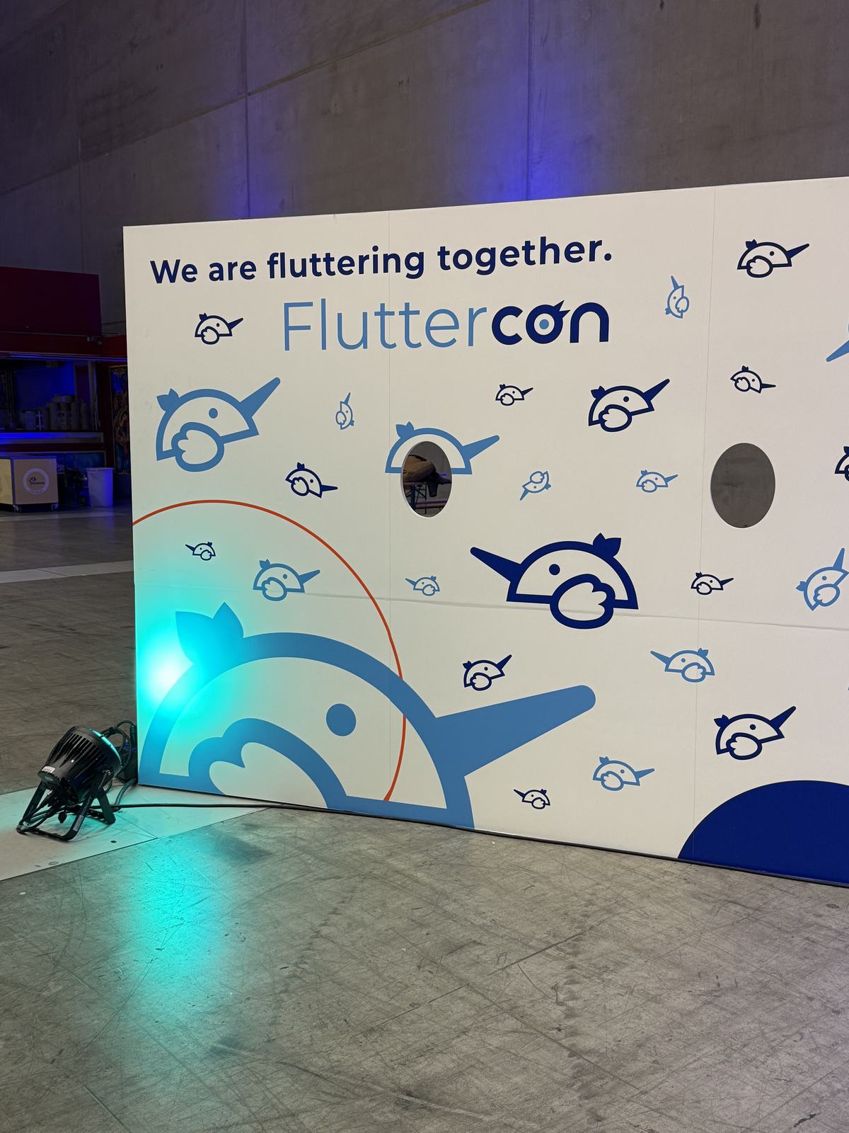 The We are fluttering together photo wall at Fluttercon