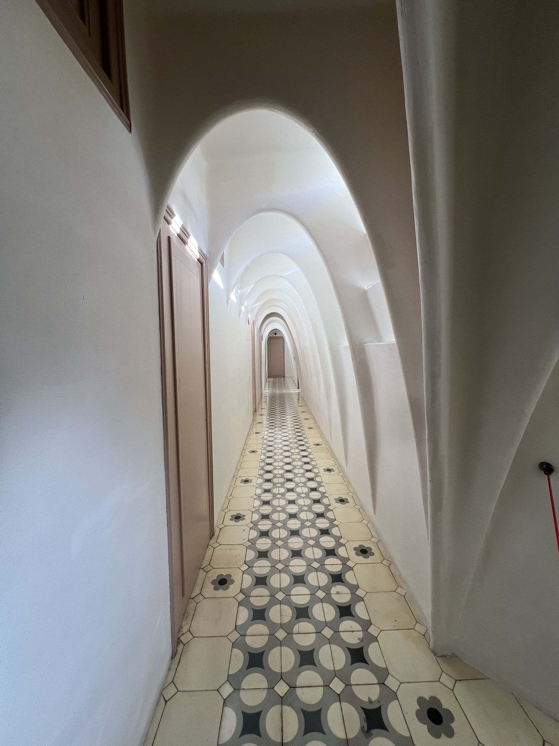 The white catenary arches of the Casa Batlló loft