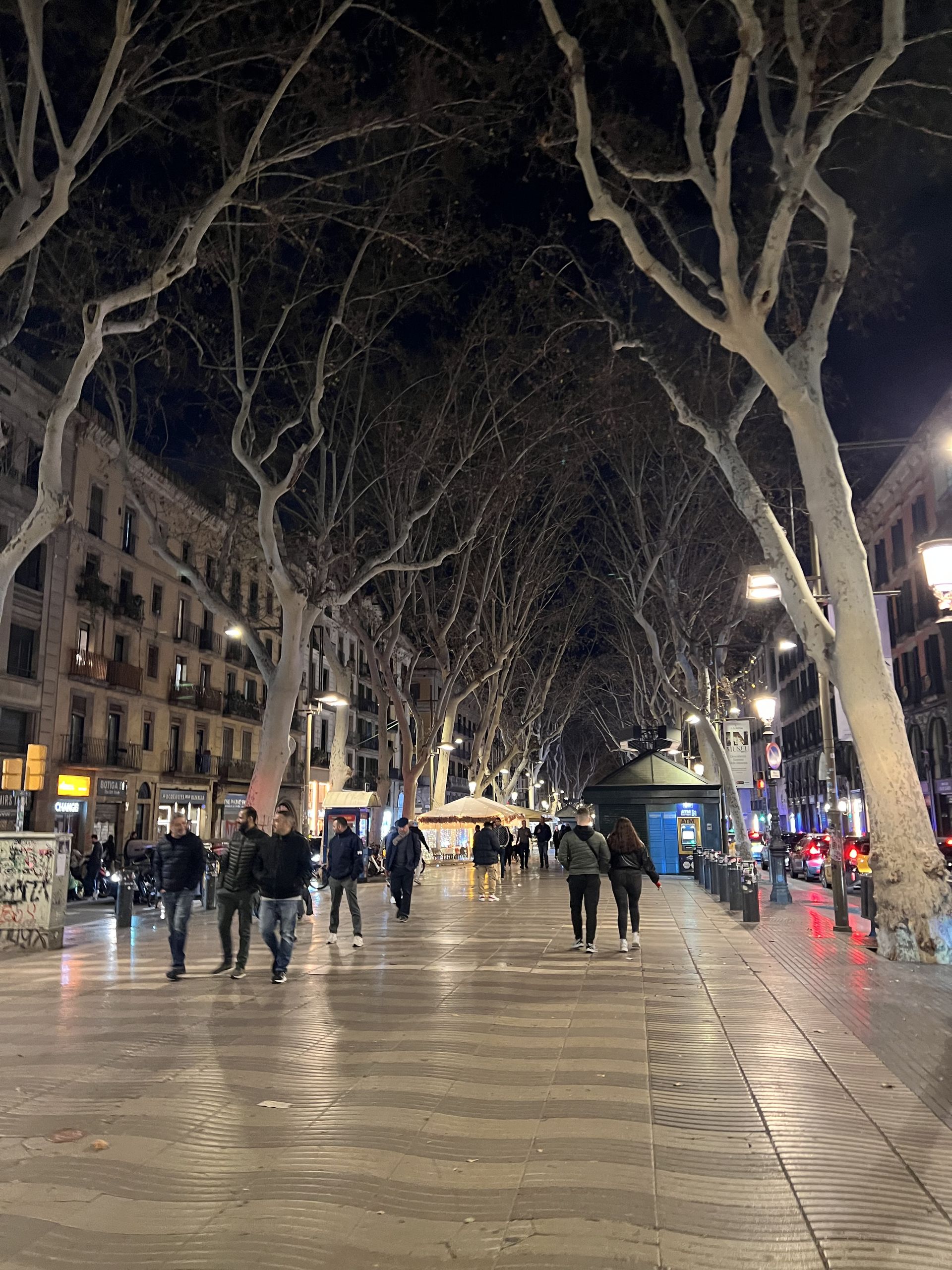 La Rambla at night under the plane trees