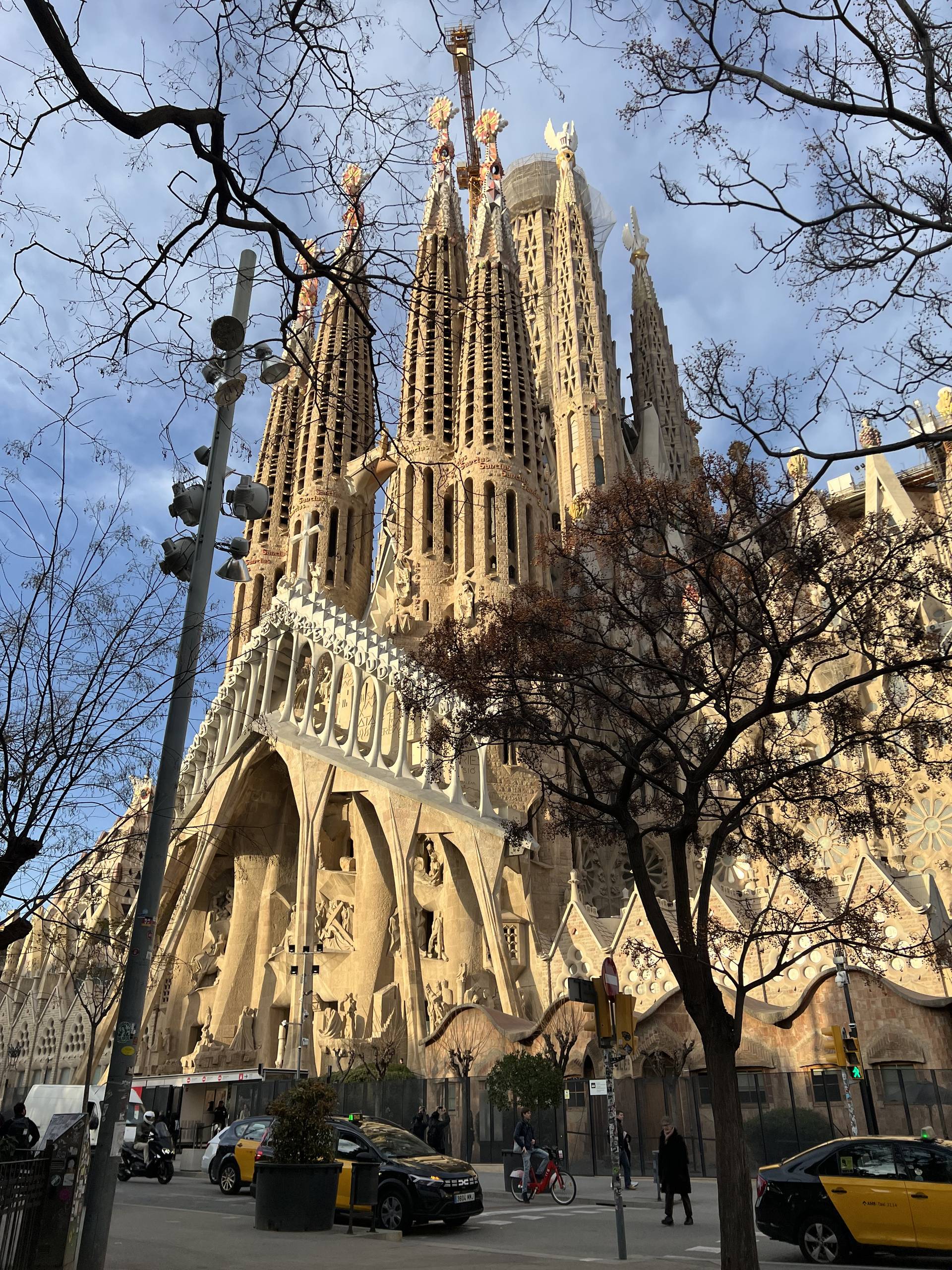 The Sagrada Família seen from the street through bare trees