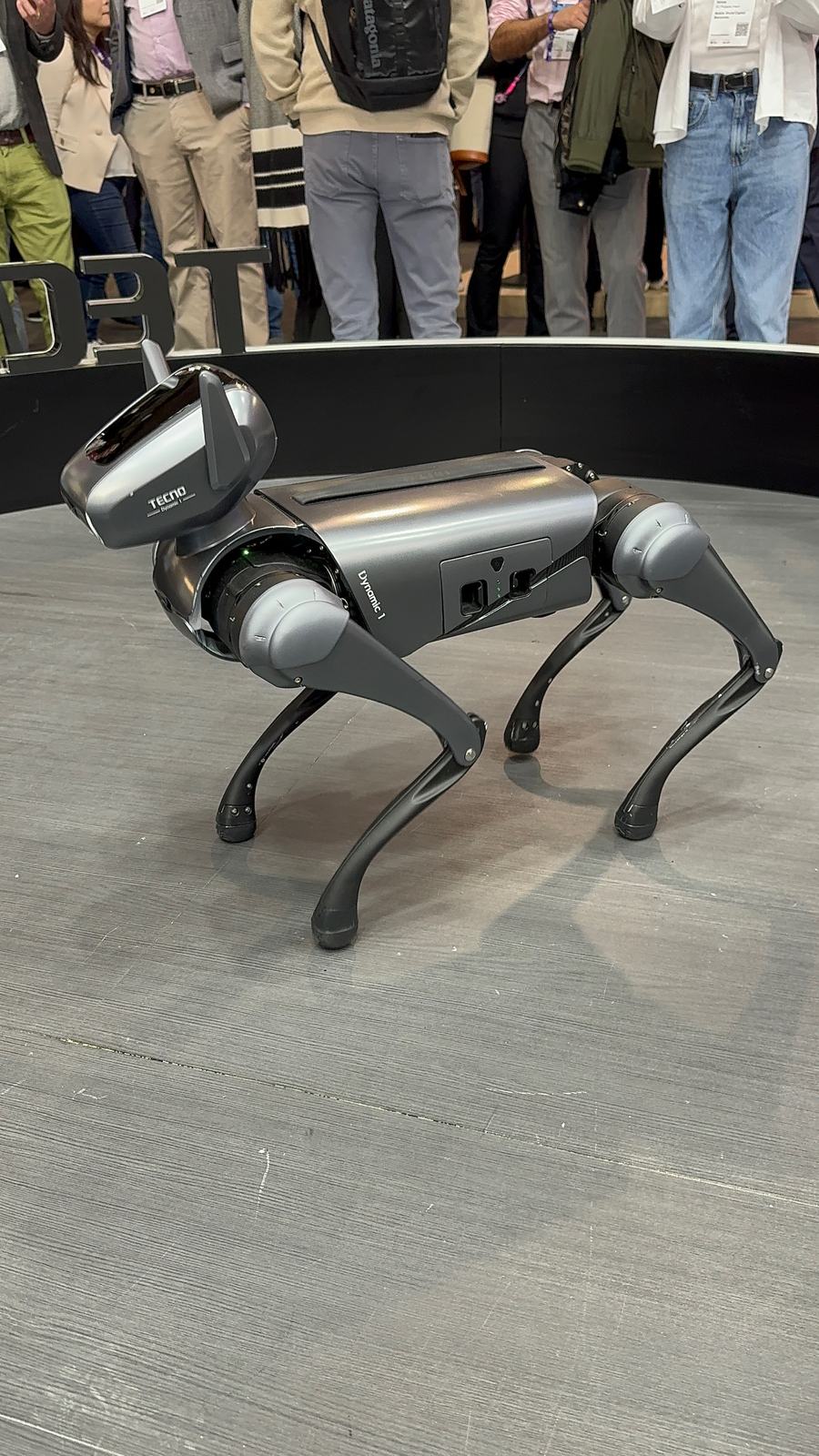 Tecno Dynamic 1 robot dog