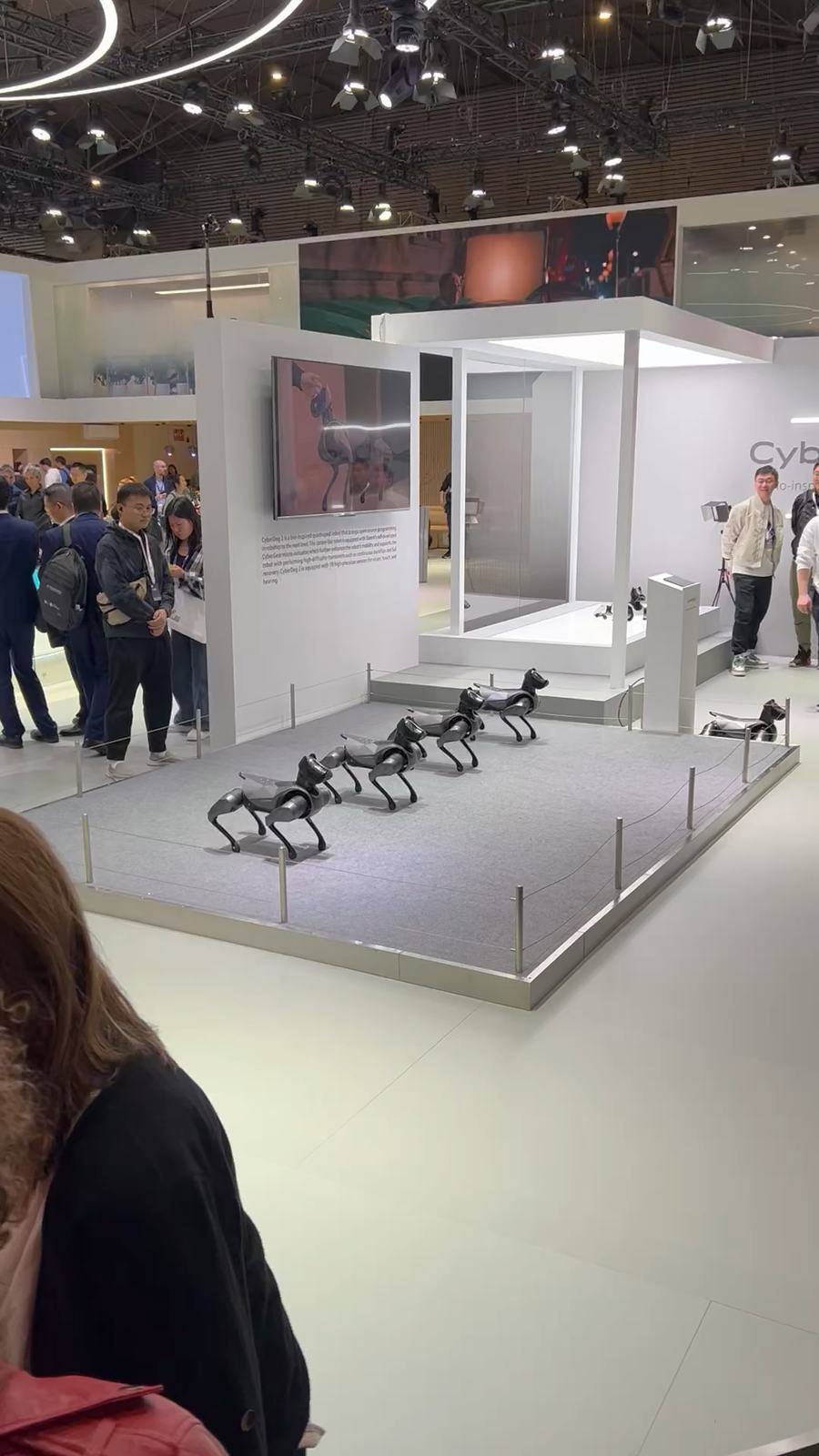 Xiaomi CyberDog 2 robots lined up